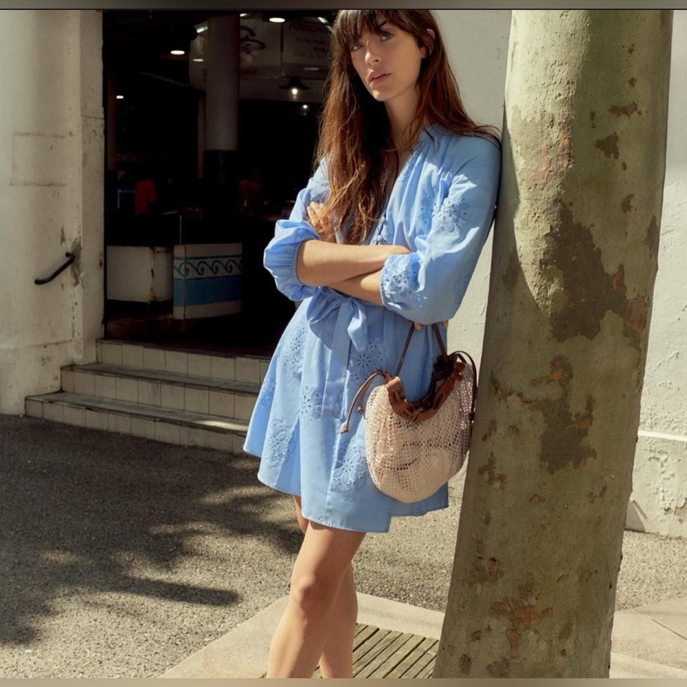 Zara Light Blue Embroidered Mini Dress